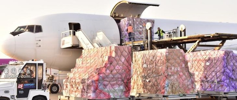 Trung Quốc đẩy mạnh xuất khẩu vật tư y tế cho các nước (Ảnh: 6park.com).