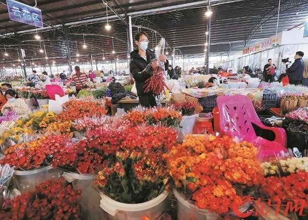 Giá hoa các loại rẻ hơn năm ngoái 30% mà vẫn ế ẩm (Ảnh: Dongfang).