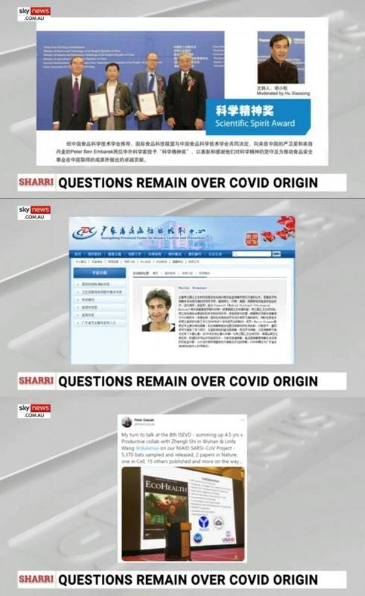 Các chứng cứ về quan hệ của ba chuyên gia nhóm điều tra WHO với phía Trung Quốc được Sky News đưa ra (Ảnh: Zaobao).