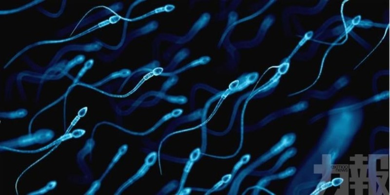 Người bị COVID-19 càng nặng thì tỷ lệ tinh trùng trong tinh dịch càng thấp (Ảnh: exmoo) Người bị COVID-19 càng nặng thì tỷ lệ tinh trùng trong tinh dịch càng thấp (Ảnh: exmoo)