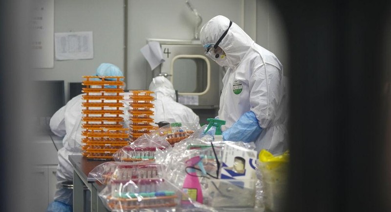 Hai chuyên gia Anh và Na Uy qua nghiên cứu cho rằng SARS-CoV-2 được các nhà khoa học Trung Quốc tạo ra trong phòng thí nghiệm (Ảnh: Sputnik).