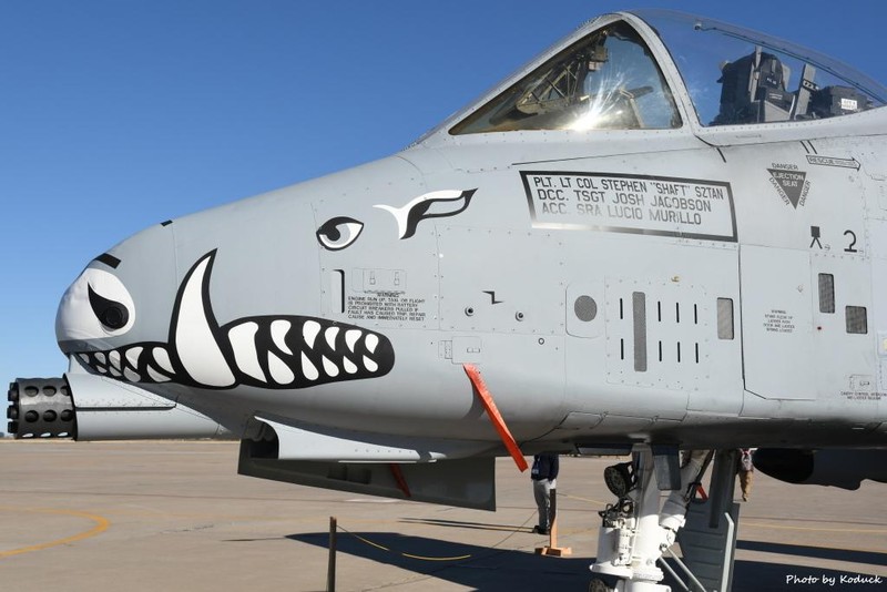 Đầu của A-10 thường được vẽ hình Lợn Lòi (Ảnh: USAirforce).