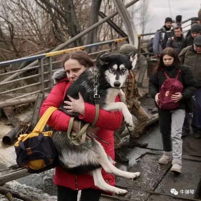 Theo Liên Hợp Quốc, đã có 2,5 triệu người Ukraine phải ra nước ngoài tỵ nạn (Ảnh: Sina). Theo Liên Hợp Quốc, đã có 2,5 triệu người Ukraine phải ra nước ngoài tỵ nạn (Ảnh: Sina).