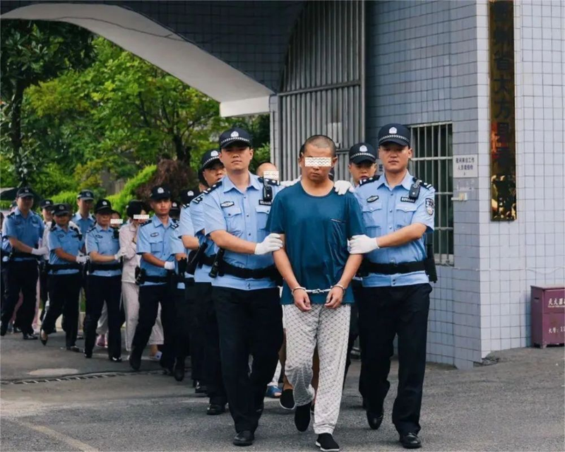 Dan do toi pham lua dao ve xu.png