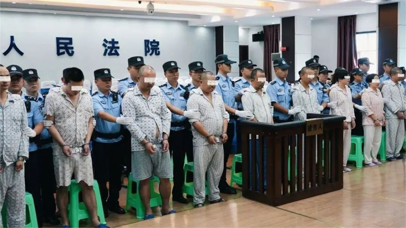 Mọt bang nhom lua dao mang bi xet xu.png