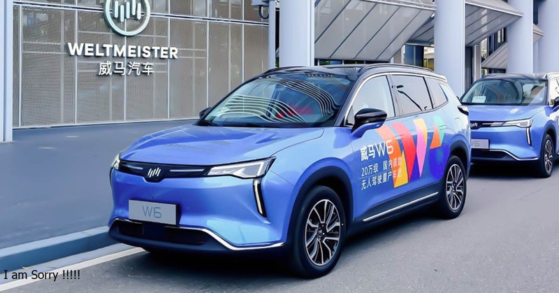 Weltmeister từng là một thương hiệu ô tô điện nổi tiếng ở Trung Quốc (Ảnh: NBD)