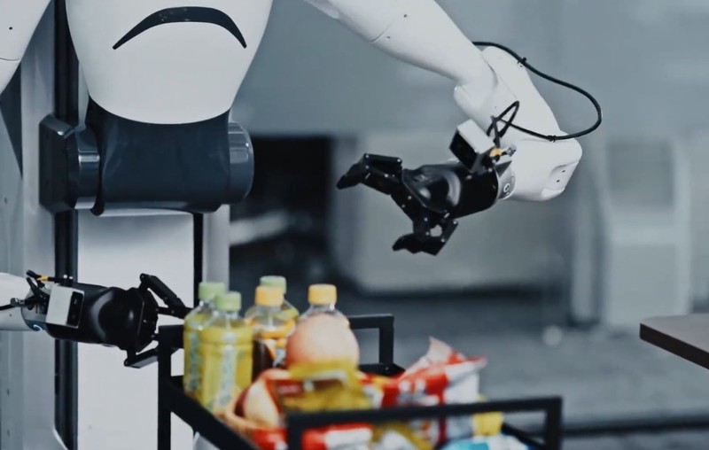 Canh tay kheo leo.jpg