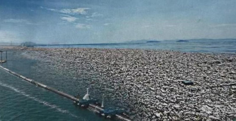 Một trong ba bức ảnh được ông Trump đăng tải được xác định là ảnh đã qua chỉnh sửa. Ảnh: NetEase.