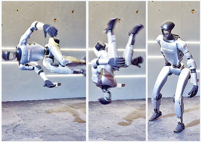 Robot Unitree Robotics.png