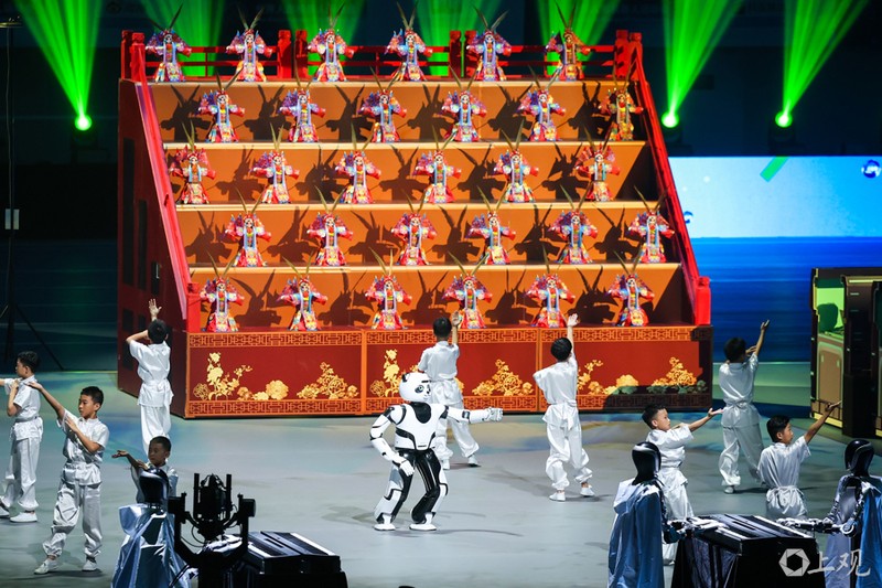 Nguoi va Robot bieu dien vo.jpg