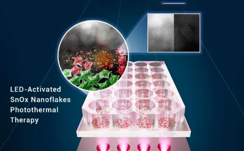 Liệu pháp này nung nóng làm chết tế bào ung thư trong khi tế bào khỏe mạnh được bảo vệ. Ảnh: ACSNano. 