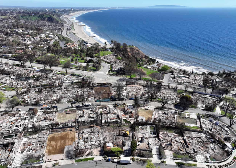 Sau dam chay, Getty.png