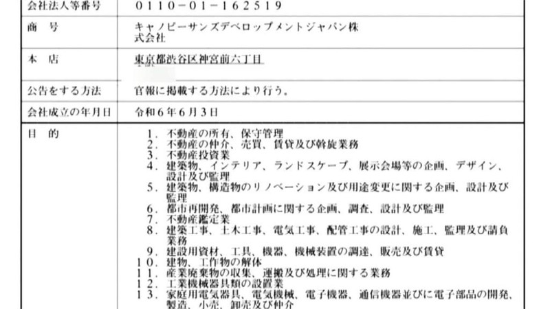 Ho so ba cong ty cua Chen Zhi.jpg