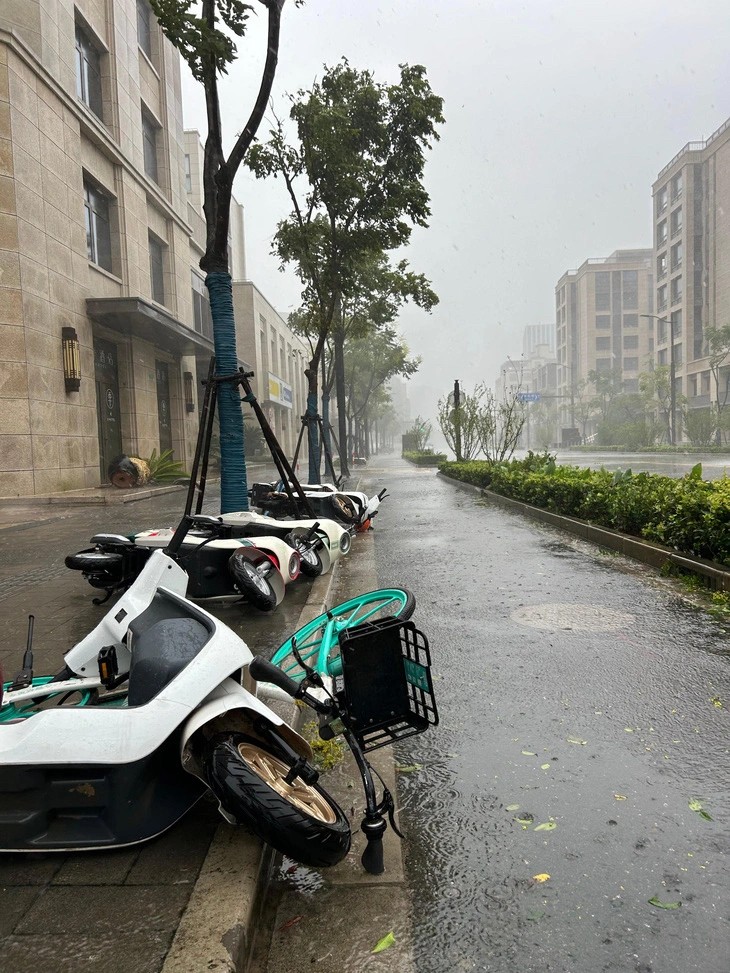 Gió to khiến dàn xe điện, chậu cây bị đổ (Ảnh: The paper)