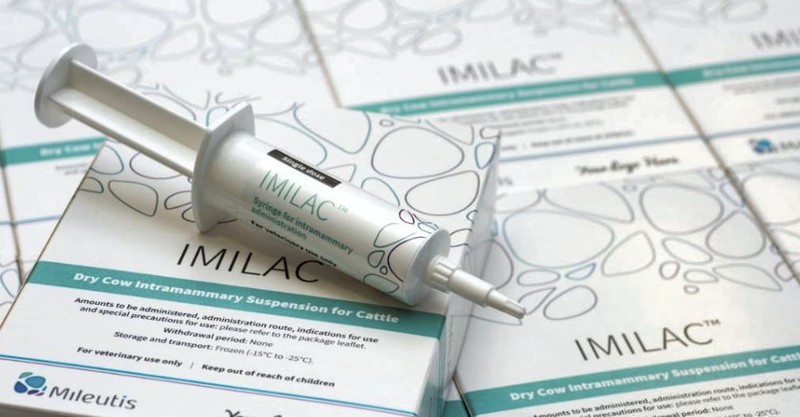 Imilac là một sản phẩm được cấp bằng sáng chế, có nguồn gốc từ sữa bò, giúp tăng cường hệ thống miễn dịch của động vật. Ảnh NoCamels
