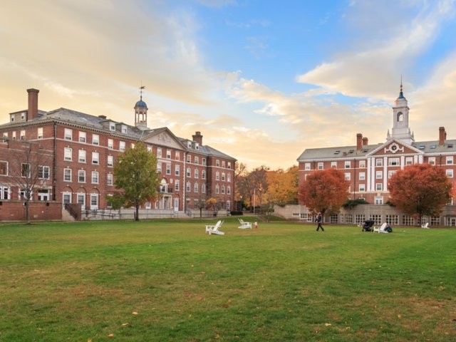 Ảnh: Business Insdier