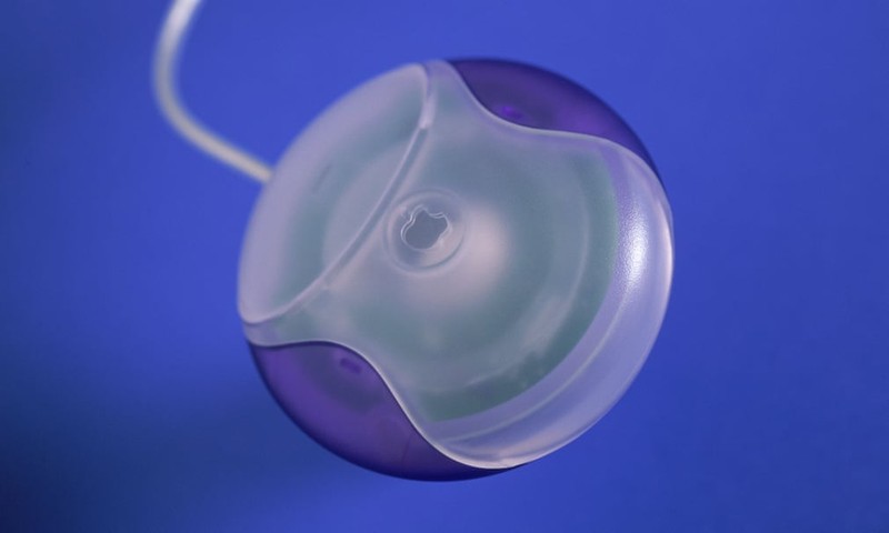 Ảnh minh họa: The Guardian Ảnh minh họa: The Guardian