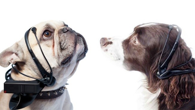 7 thiết bị công nghệ sẽ khiến bạn mắt tròn mắt dẹt ngạc nhiên ảnh 3 7 thiết bị công nghệ sẽ khiến bạn mắt tròn mắt dẹt ngạc nhiên ảnh 3