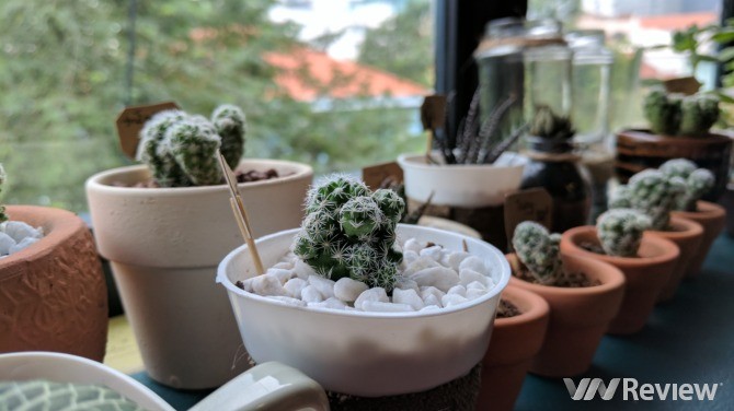 Trải nghiệm nhanh Google Pixel tại Việt Nam: Điểm nhấn HDR+ ảnh 22