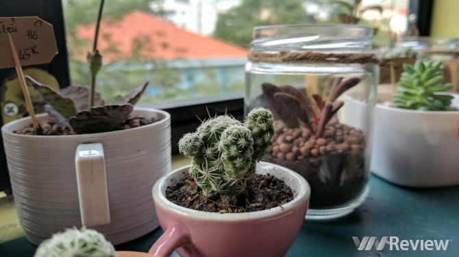 Trải nghiệm nhanh Google Pixel tại Việt Nam: Điểm nhấn HDR+ ảnh 21