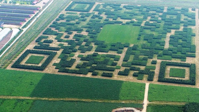 Ngôi làng Trung Quốc xây dựng hẳn công viên QR Code để thu hút khách du lịch ảnh 2