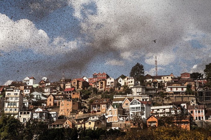 Viễn cảnh rùng rợn khi công nghệ phát triển ảnh 2