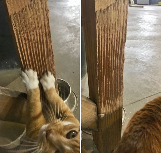 21 bức ảnh chứng minh thời gian là thứ đẹp đẽ nhưng vô cùng tàn nhẫn - Ảnh 16. 21 bức ảnh chứng minh thời gian là thứ đẹp đẽ nhưng vô cùng tàn nhẫn - Ảnh 16.