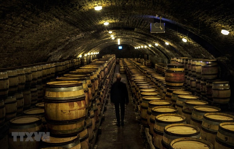 Một hầm rượu vang ở Nuits-Saint-Georges thuộc vùng Bourgogne, Pháp. (Ảnh: AFP/TTXVN) Một hầm rượu vang ở Nuits-Saint-Georges thuộc vùng Bourgogne, Pháp. (Ảnh: AFP/TTXVN)