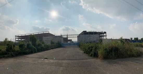 Cỏ dại mọc hai bên đường vào nhà máy Dekama ở Nam Kinh. Ảnh: Pan Ye.