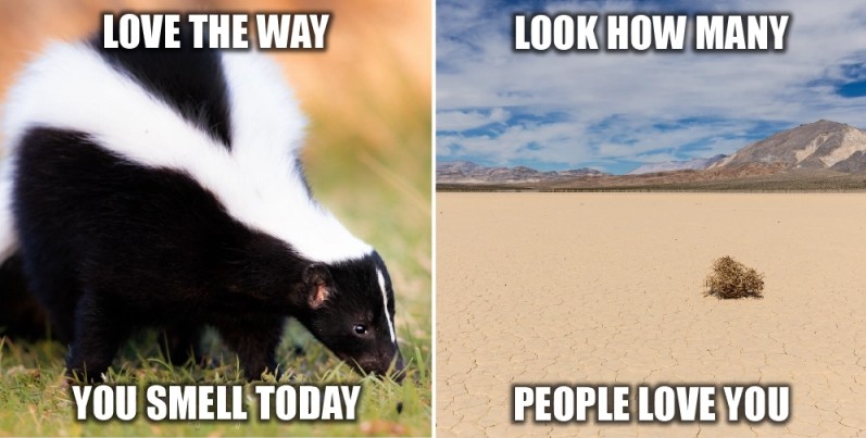 Xét riêng văn bản, nội dung có thể mang tính tích cực, nhưng kết hợp với hình ảnh lại truyền tải thông điệp thù ghét. Ảnh: Venturebeat.