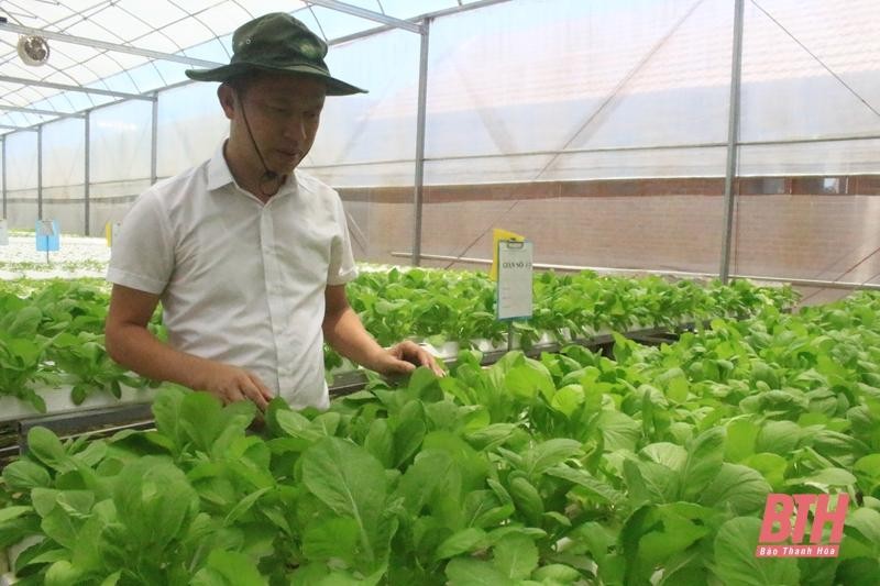 Ông Trần Văn Tân, Tổng Giám đốc Công ty CP Xây dựng và Thương mại Phong Cách Mới và mô hình trồng rau sạch trong nhà kính. Ông Trần Văn Tân, Tổng Giám đốc Công ty CP Xây dựng và Thương mại Phong Cách Mới và mô hình trồng rau sạch trong nhà kính.