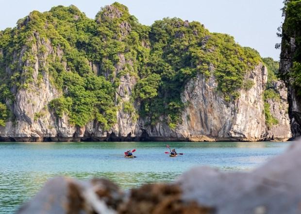 (Ảnh minh họa: CTV/Vietnam+) (Ảnh minh họa: CTV/Vietnam+)