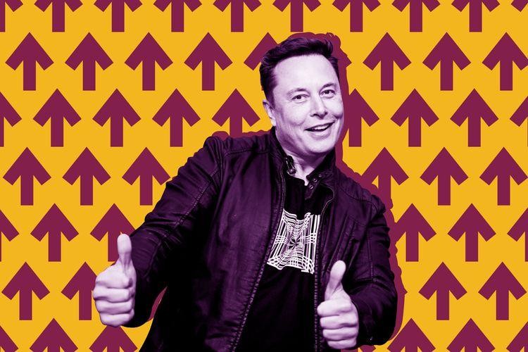 Elon Musk thông báo sa thải tại Twitter đã kết thúc (Ảnh: The Verge)