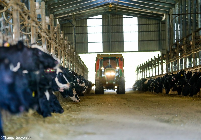 2.Ngân hàng Bắc Á đồng hành cùng nhiều dự án nông nghiệp công nghệ cao trong vai trò tư vấn đầu tư.jpg