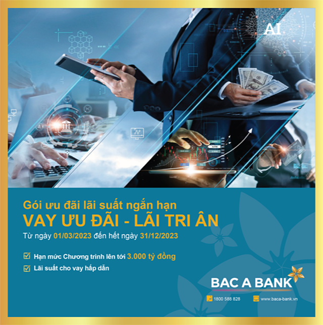 bac-a-bank-1.png