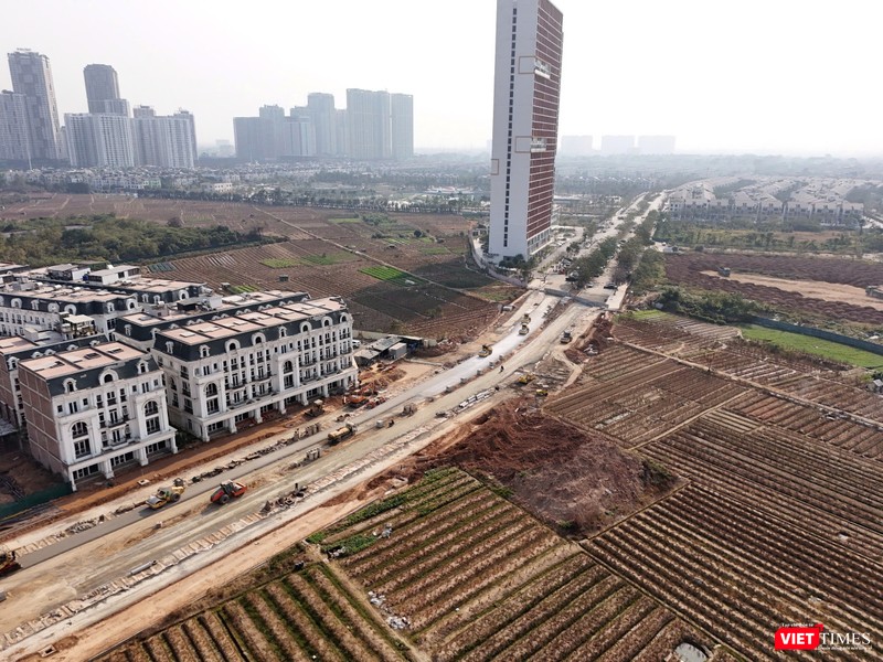 vt-le quang dao 11.jpg