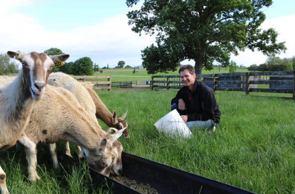 Nhà khoa học Laible cùng những con dê biến đổi gen của mình. Ảnh: Digital Trends Ảnh: Digital Trends