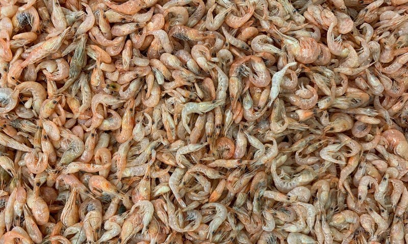 Sản xuất điện cực cho pin từ… vỏ tôm?