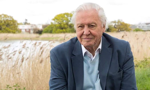 Bất ngờ với danh tính người vừa lập kỷ lục Guinness mới trên Instagram ảnh 1