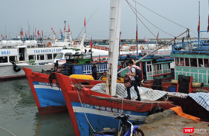 Phó Thủ tướng Chính phủ Trịnh Đình Dũng yêu cầu các lực lượng và các địa phương, bộ ngành liên quan khẩn trương triển khai ứng phó chống bão, cấm tàu thuyền ra khơi Phó Thủ tướng Chính phủ Trịnh Đình Dũng yêu cầu các lực lượng và các địa phương, bộ ngành liên quan khẩn trương triển khai ứng phó chống bão, cấm tàu thuyền ra khơi