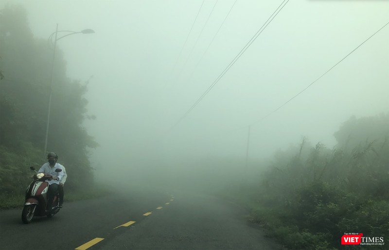 Và du khách tiếp tục đến với Sơn Trà