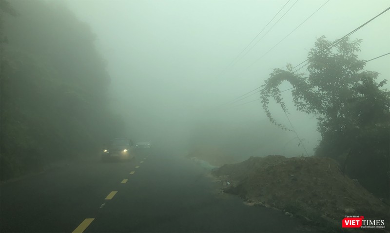 Du khách tiếp tục lên Sơn Trà để chiêm ngưỡng hiện tượng hiếm gặp này