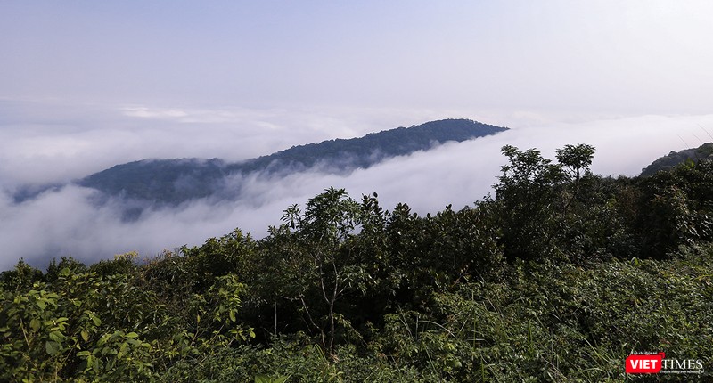 Một góc dòng "sông mây"