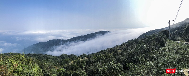 Toàn cảnh dòng "sông mây" trên đỉnh Sơn Trà