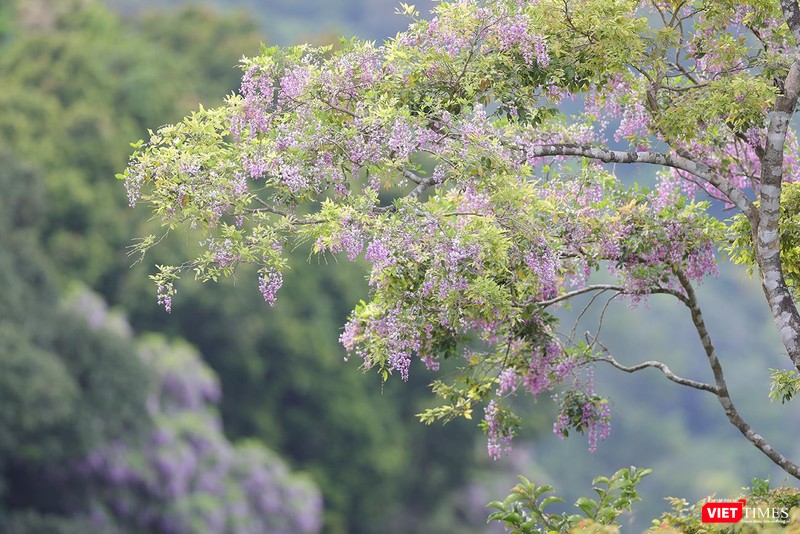 Nhập mô tả ảnh