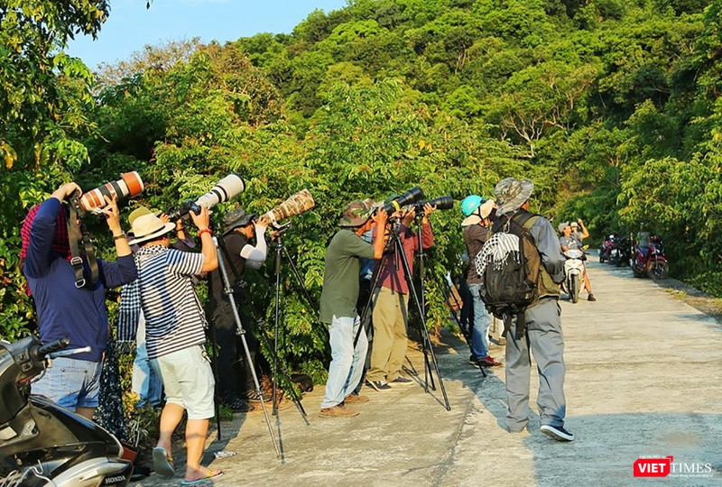 Đây cũng là thời điểm thu hút rất đông giới mê ảnh (ảnh MinhTu)