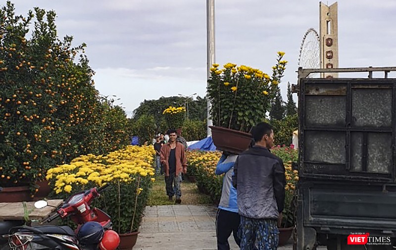 Hoa tiếp tục được chuyển về chợ hoa cho thấy sức mua không hề suy giảm