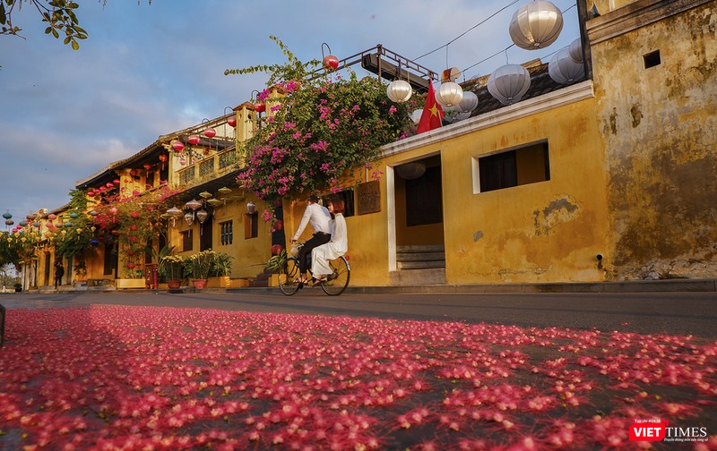 Chỉ còn anh và em, cùng mùa xuân...