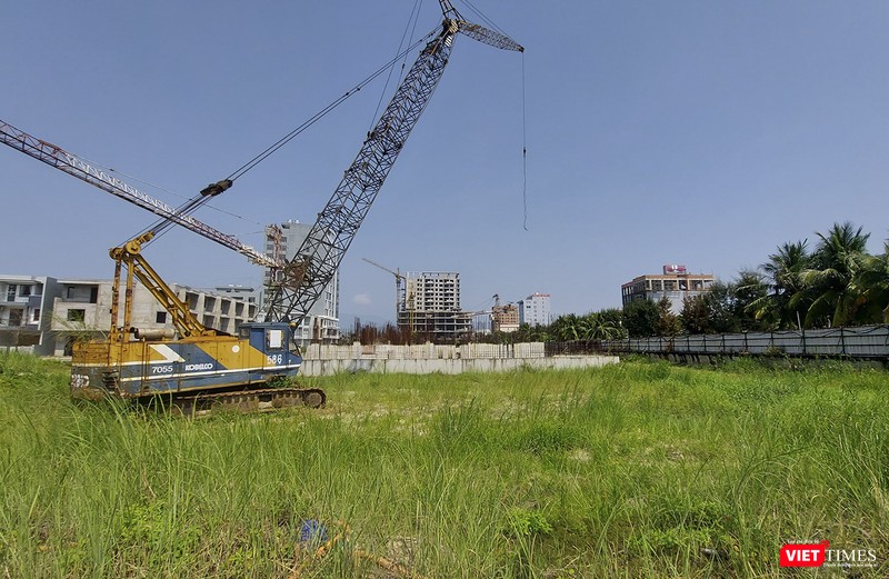 Một góc khác để cỏ mọc um tùm