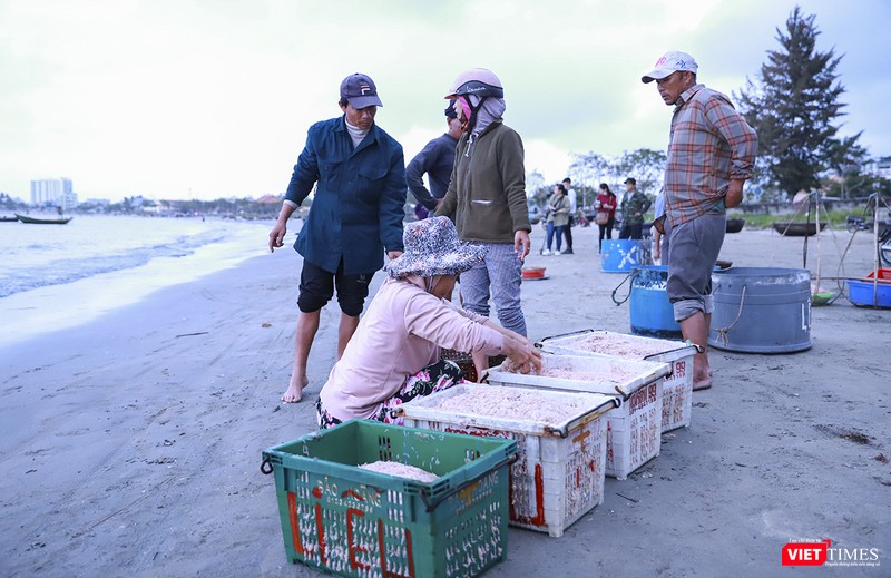 Thương lái thu mua ngay tại chân sóng
